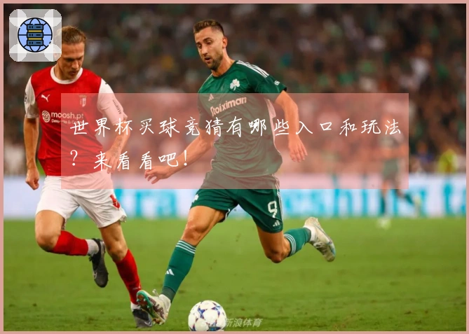 世界杯买球竞猜有哪些入口和玩法？来看看吧！