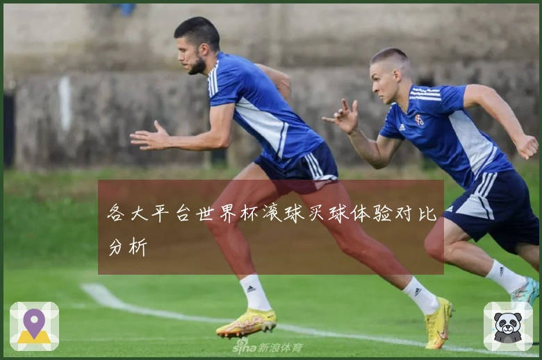 各大平台世界杯滚球买球体验对比分析