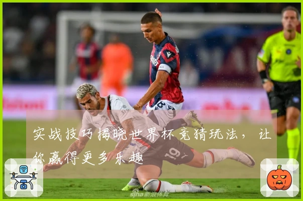实战技巧揭晓世界杯竞猜玩法，让你赢得更多乐趣