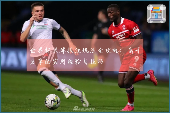 世界杯买球投注玩法全攻略：高手分享的实用经验与技巧